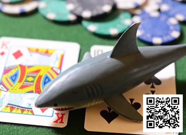 【小鱼Poker】德州扑克低级别盈利指南，学会你就是小鲨鱼