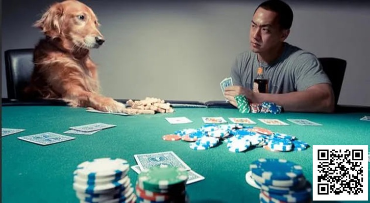 【小鱼Poker】他用垃圾牌狂输，却坚持“牌不重要”，结局令人深思
