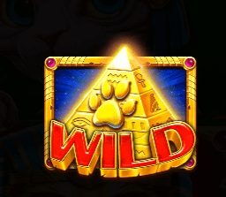 【小鱼扑克】埃及神猫：探寻古埃及的未解之谜