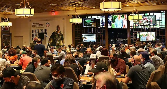 【小鱼Poker】职业MTT玩家的三座大山：资金、波动、还有？