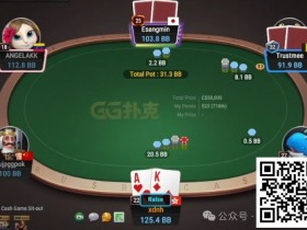 【小鱼Poker】牌局分析:AK冷4bet底池