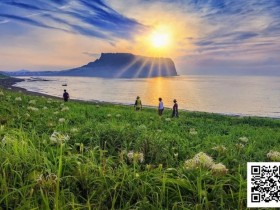 【小鱼Poker】别Till,来Jeju Chill——必去景点+路线打包+管家制定