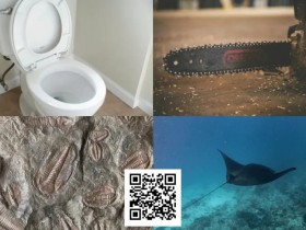 【小鱼Poker】扑克界谁的绰号最炸裂:电锯、魔鬼鱼、石化人、马桶?