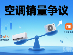 【小鱼Poker】格力高管再谈空调销量争议:数据可转发 口碑没法P图