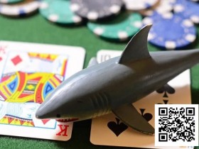 【小鱼Poker】德州扑克低级别盈利指南,学会你就是小鲨鱼