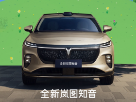 【小鱼Poker】全新岚图知音正式上市 标配华为乾崑 20.29万元起售