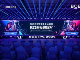 【小鱼Poker】BOE(京东方)IPC电竞嘉年华盛典圆满收官 第三届无畏杯总决赛引领电竞生态发展热潮