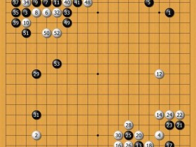【小鱼扑克】围棋定式大数据研究:胜率背后的布局演变正在被重新书写